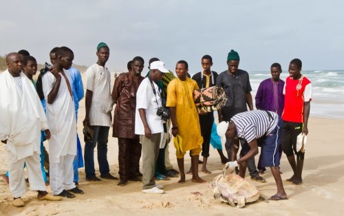 Kader doing outreach while taking morphometrics of a Lepidochelys olivacea (Olive Ridley Sea Turtle)
