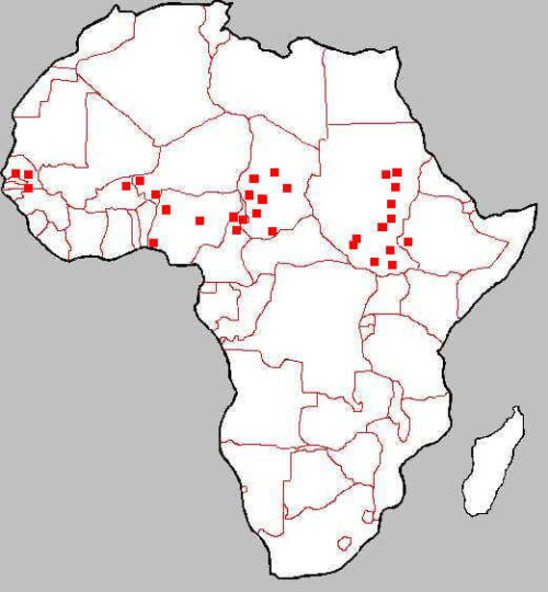 Map of the Natural Range of Pelusios adansonii