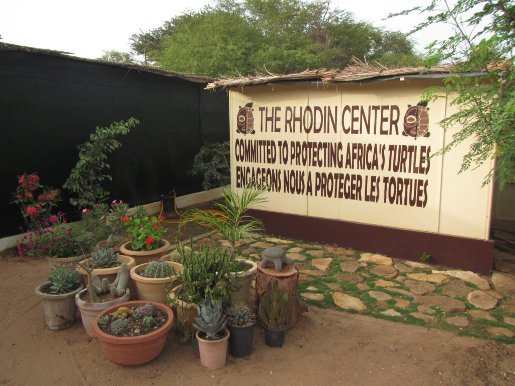 Inside view of the Rhodin Center - Ngaparou- Senegal