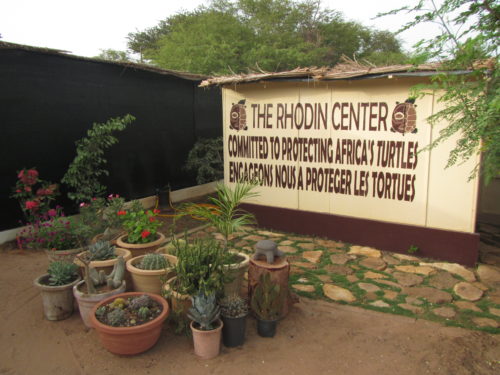 Inside view of the Rhodin Center - Ngaparou- Senegal
