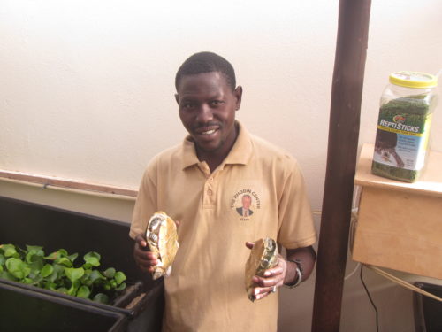 Marcel (Rhodin Center employee) holding a pair of Adanson's terrapin, Pelusios adansonii