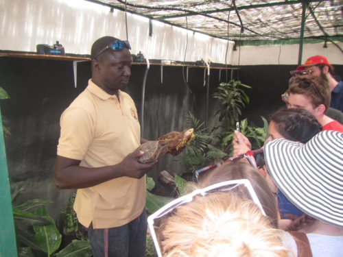 Tomas explaining African hingeback tortoise ecology at the Rhodin Center Senegal