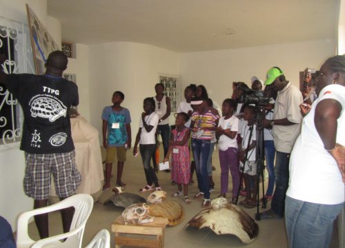 Tomas explaining sea turtle biology at the Rhodin center Senegal