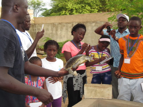 Tomas explaining terrapin ecology at the Rhodin center Senegal