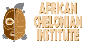 African Chelonian Institute