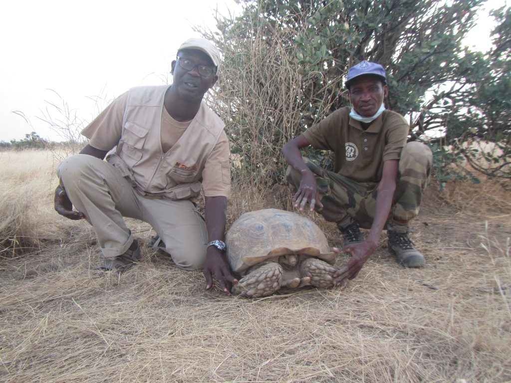 Sulcata-Preserve-Project-featured